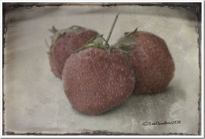 strawberries-raggedy-paper-