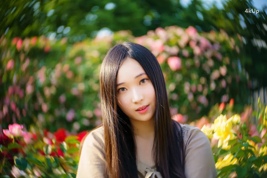 Bambi (밤비) Lacerta Photography