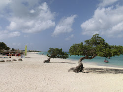 2013-10-01 Aruba - 33