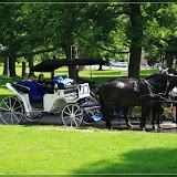die Kutschen und Pferde warten