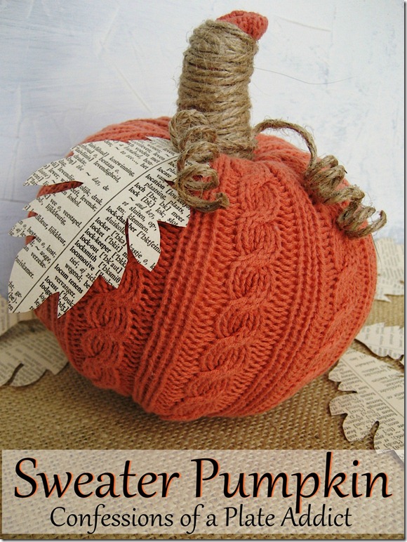 Sweater pumpkin