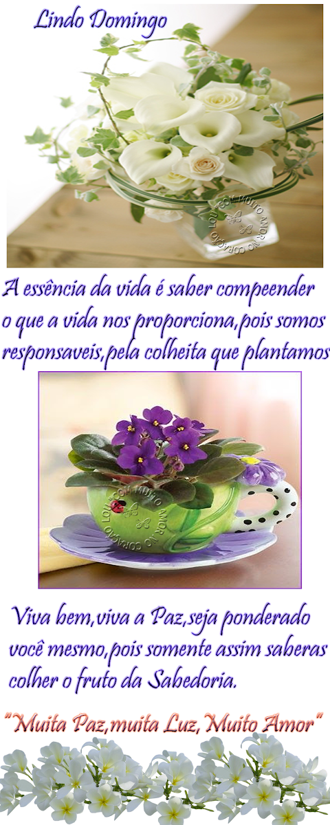 ess%25C3%25AAncia+espiritual.png