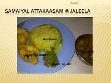 [121---Leftover-Cooked-Rice-Pongal%255B1%255D.jpg]