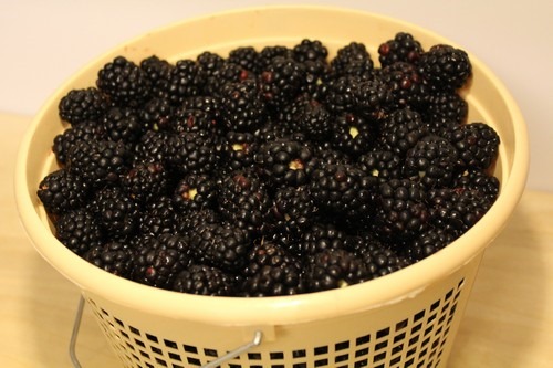 blackberry-vanilla-jam03