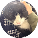 ZwillZ profile picture