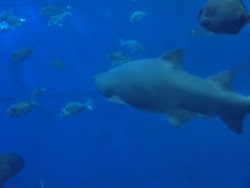 2012-10-20 Mallorca by BREITENGRAD53 - 205