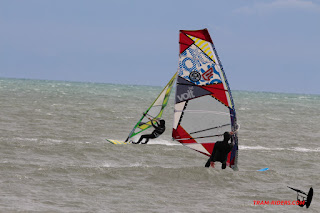 20150221Rouet101.JPG