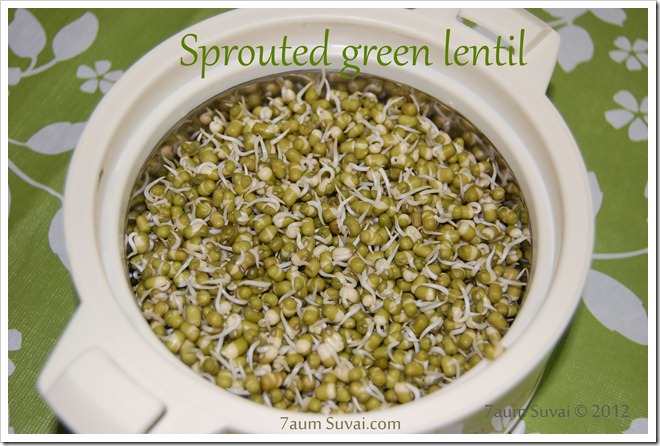 Sprouted Green Lentil