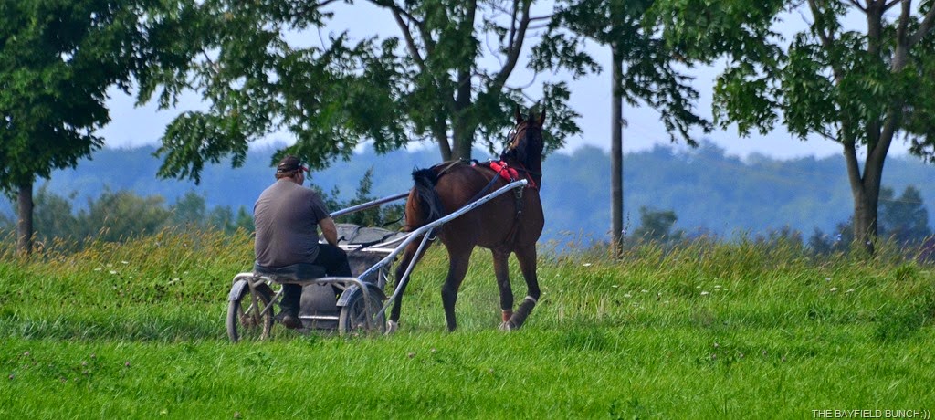 [DSC_0010-003%255B4%255D.jpg]