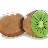 kiwi-imagen.jpg