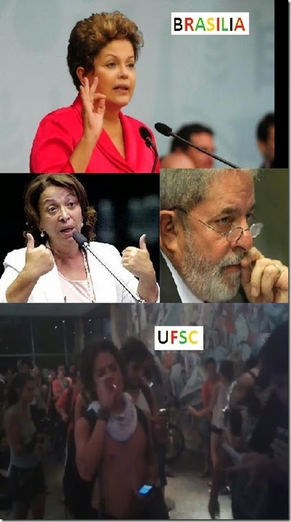 BRASILIA-UFSC-DROGAS