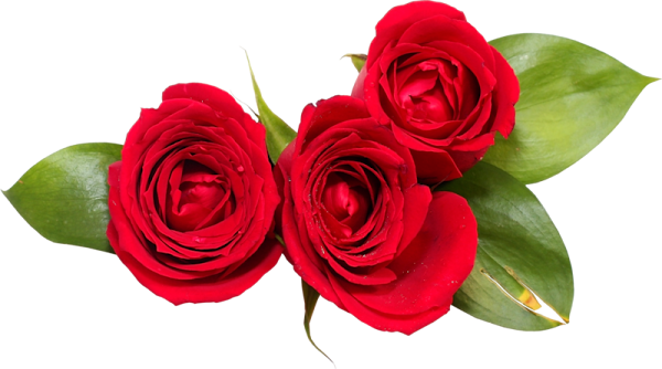 0_d48b3_a3a2b28f_XL%25255B1%25255D.png