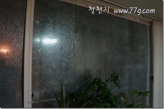 철천지DSC03922-20121115-222214