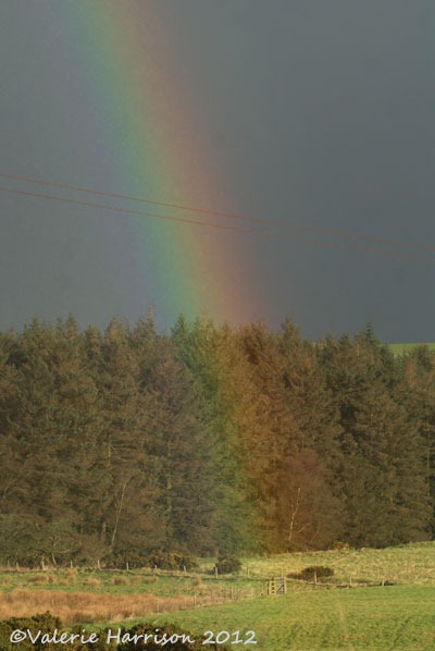 [rainbow%255B2%255D.jpg]