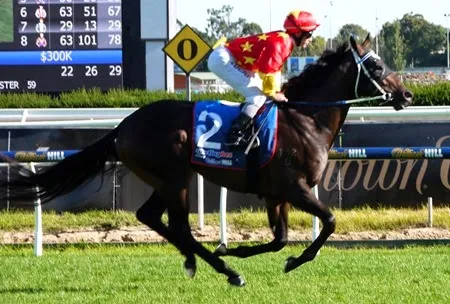 race 8_orr stakes_dissident 4