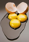 [eggs%2520for%2520hair-2%255B2%255D.jpg]
