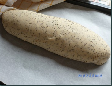 pan con semillas de amapola9 copia