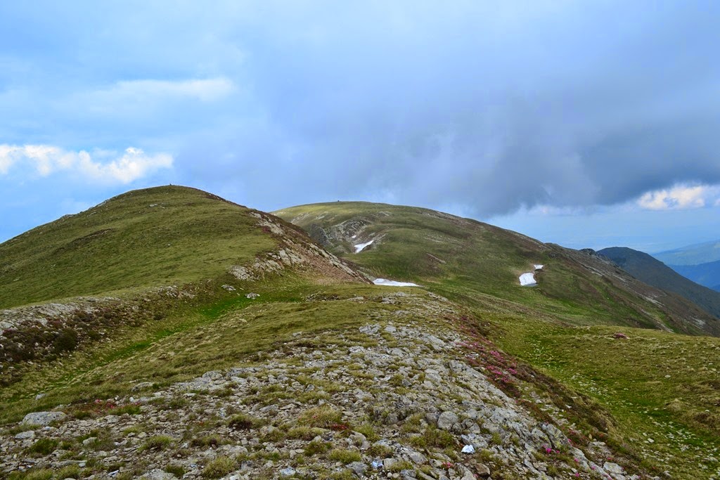 [DSC_82143.jpg]