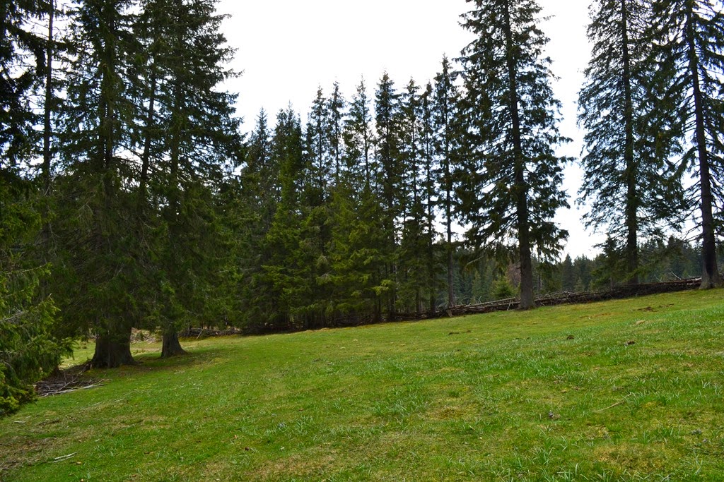 [DSC_81633.jpg]