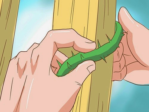 [clip_image004%255B3%255D.jpg]