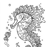 coloriage-un-hippocampe.gif.jpg
