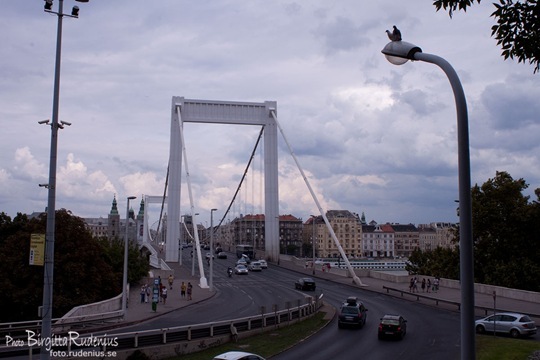 bridge_20110813_erzebet