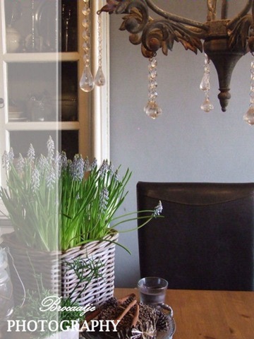 [20120117_9%255B3%255D.jpg]