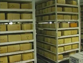 Золотые сыры