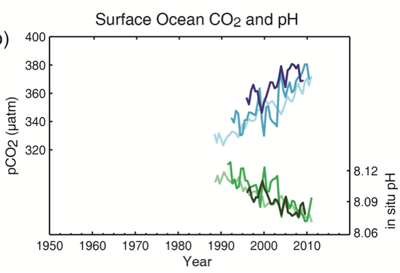 Ocean CO2  pH 1990 2012