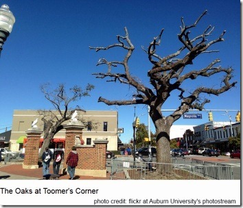 oaks-at-toomers-corner