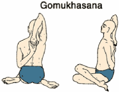 GOMUKASANA
