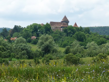 2Fortificatii sasesti in Transilvania: Biserica fortificata de la Viscri