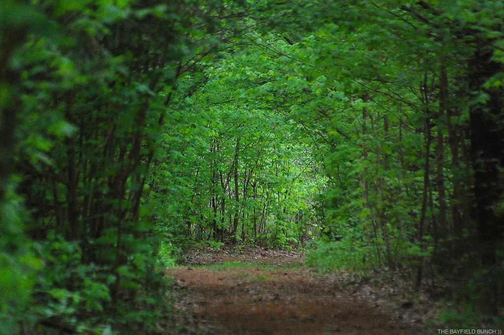 [DSC_9429%255B4%255D.jpg]