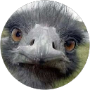 Luann richmonds profile picture