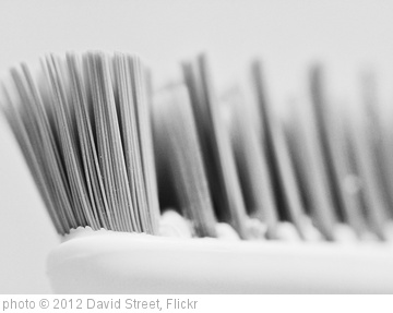 'Tooth Brush' photo (c) 2012, David Street - license: http://creativecommons.org/licenses/by-nd/2.0/