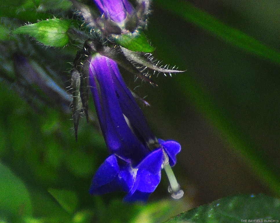 [DSC_0003%255B4%255D.jpg]