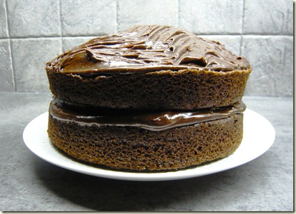 fudge cake1a