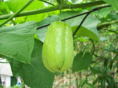 [clip_image003%255B3%255D.jpg]