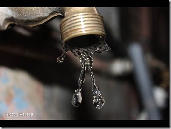 dia mundial del agua (30)