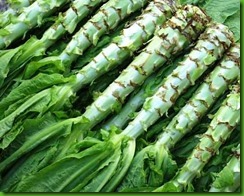 Asparagus lettuce