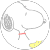 スー スー