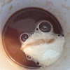[coffeefrog-ava%255B3%255D.jpg]