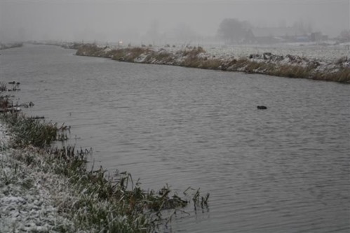 20081124 (1) (Small)