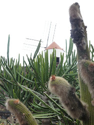 Lanzarote 2011 - - 025