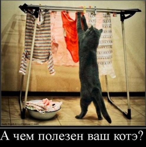 [470158b4fc0fb27c7e487ac52aa_prev%255B4%255D.jpg]