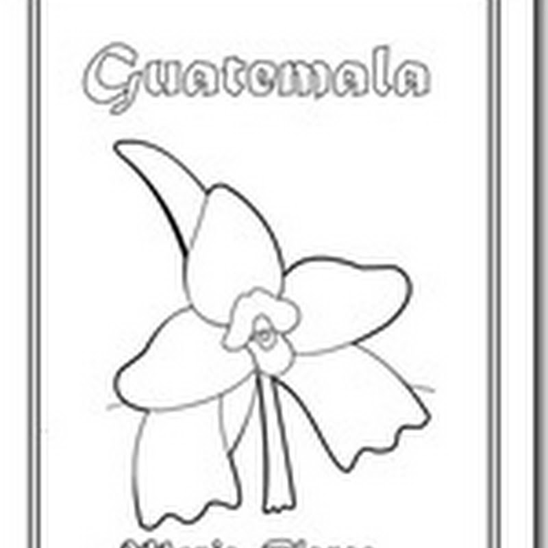 Colorear dibujos de Guatemala símbolos patrios