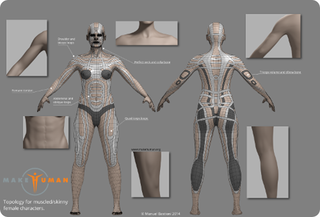 Makehuman è un'applicazione open source per la realizzazione di prototipi di umanoidi in computer grafica 3D.
