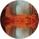 Image Google de Sehelia Tolérance