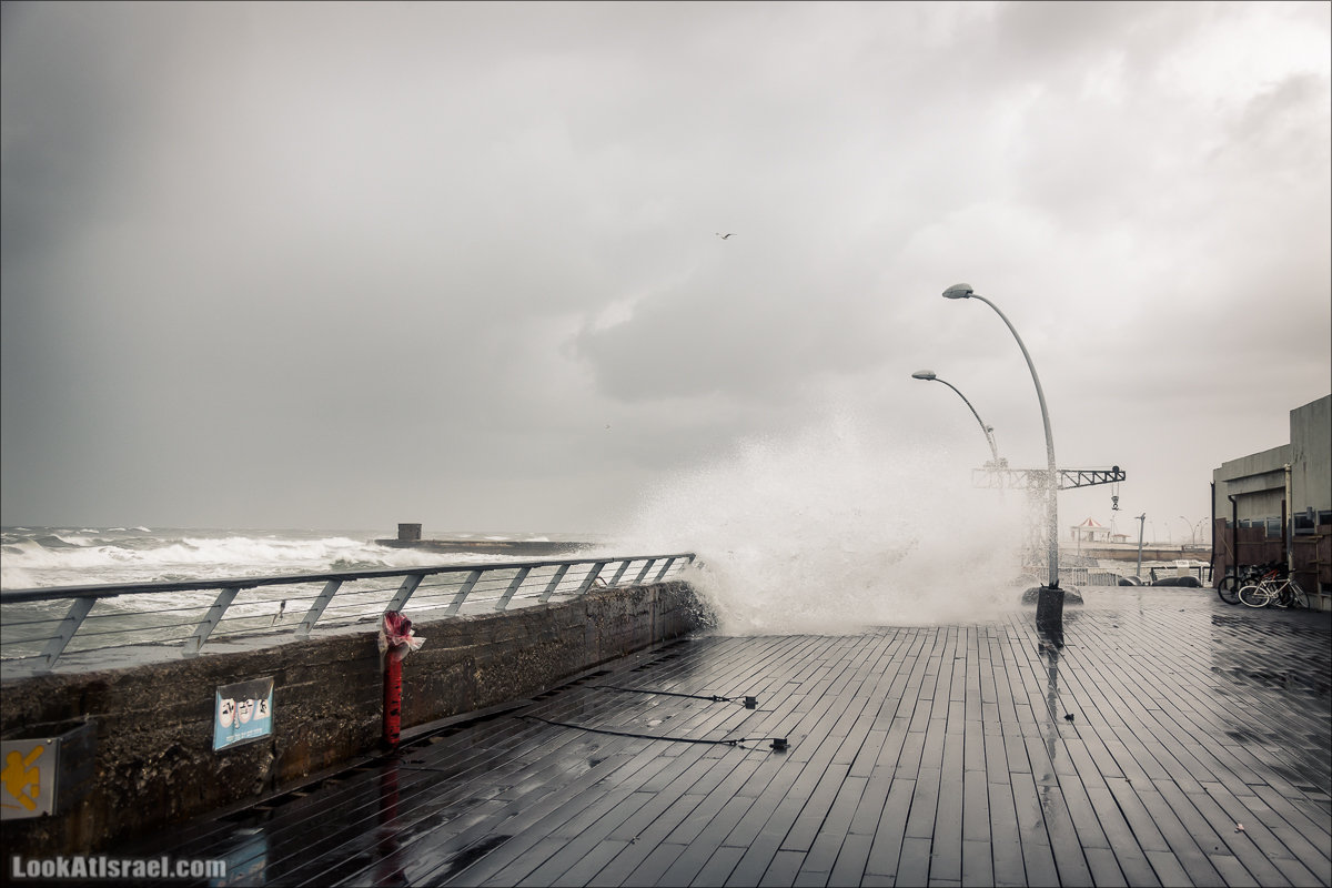 LookAtIsrael.com - Прогулка по дождливому Тель Авиву | Rain in Tel Aviv