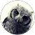 Virulentus